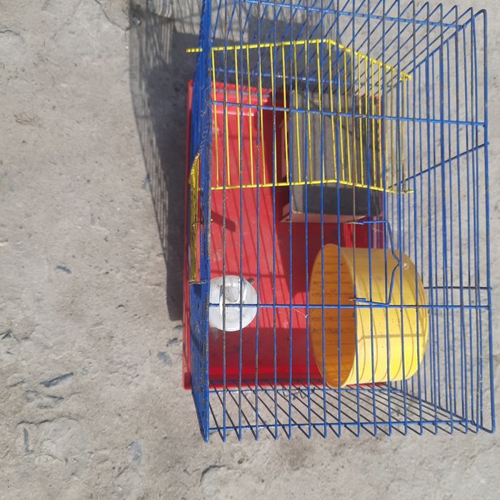 Клітка для хомяка