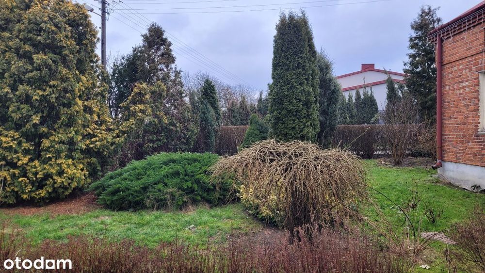 Dom z ogrodem Żelazowa Wola