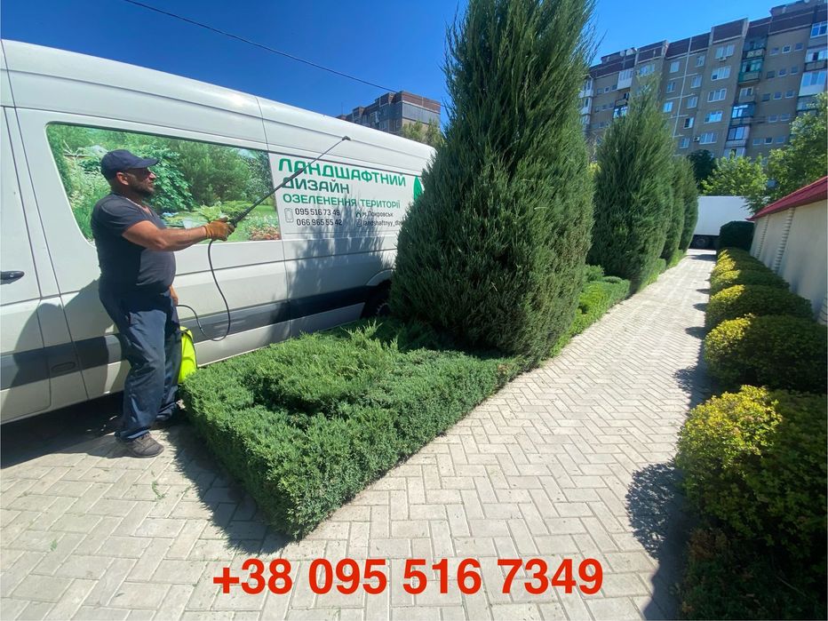Озеленення території, комплексний догляд за дизайном