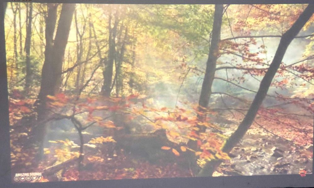 Projetor Casio-XJ-M140