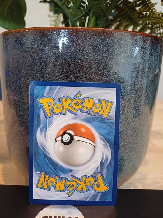Carta Pokémon Falkner #180