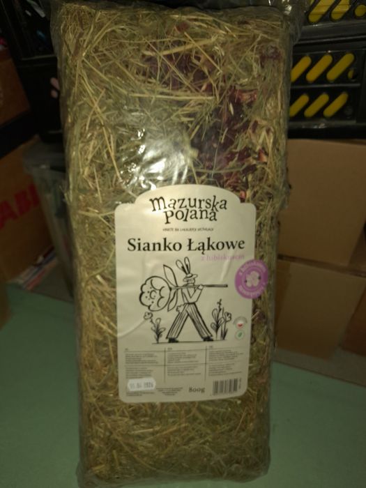 Sianko z hibiskusem łąkowe + gratis
