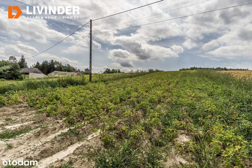 Działki Rolne 1,9 Ha | Minoga, Gm. Skała - Widok 3