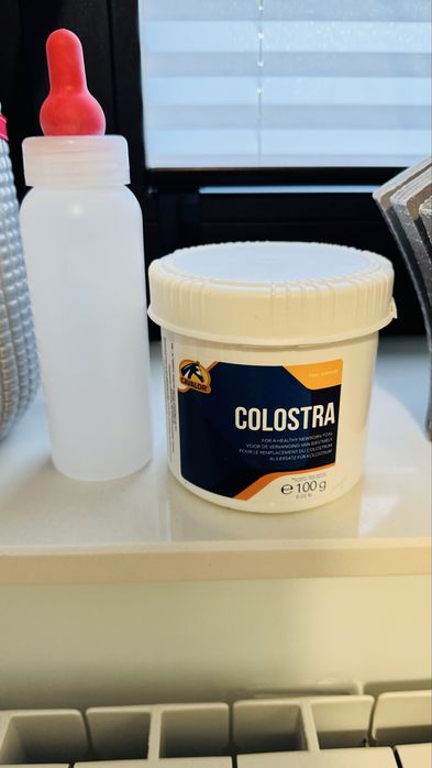 Siara dla źrebaka cavalor colostra