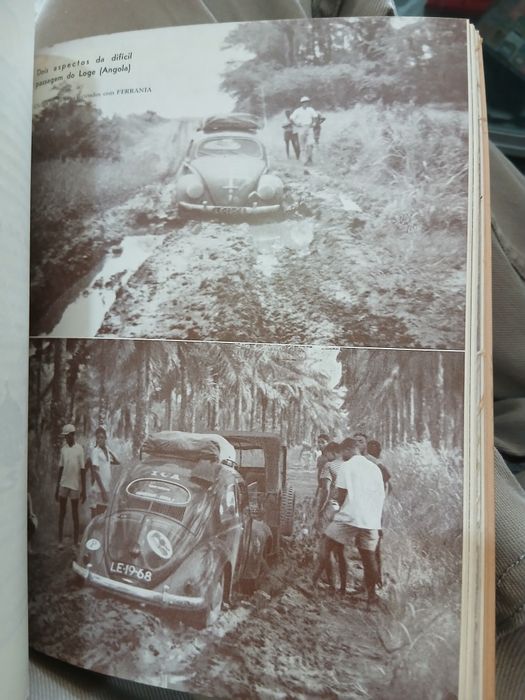 Roteiro Africano Fernando Laidley