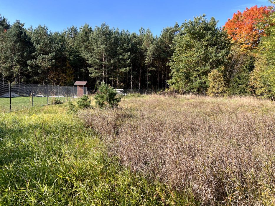 Działka budowlana w otulinie lasów | 900m² | Szer. 20,5m | MPZP 3MN | Różan / Kaszewiec - Więcej