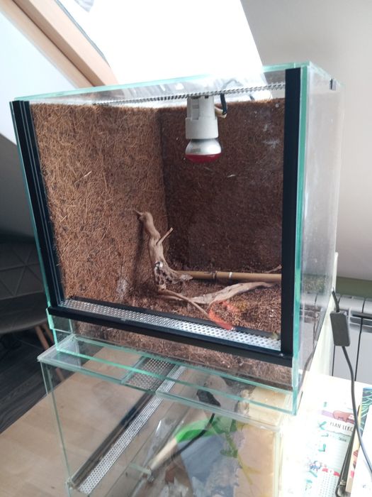 Terrarium z lampa