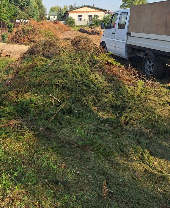 Usługi rębakiem, wycinka drzew, frezowanie pni wynajem, dowóz, darmowa