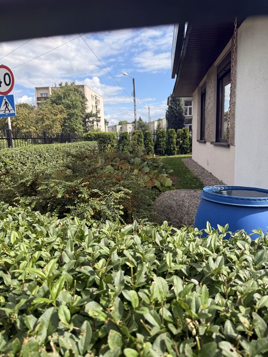 Dom – Zabrze - Widok 4