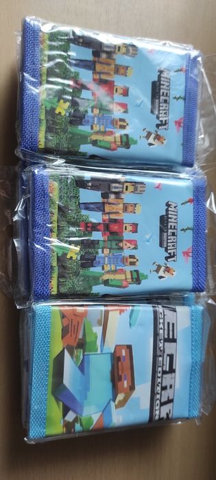 Portfel Minecraft
