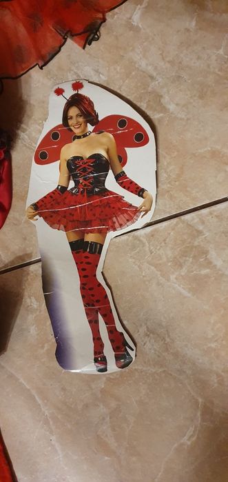 Stroj karnawałowy biedronki