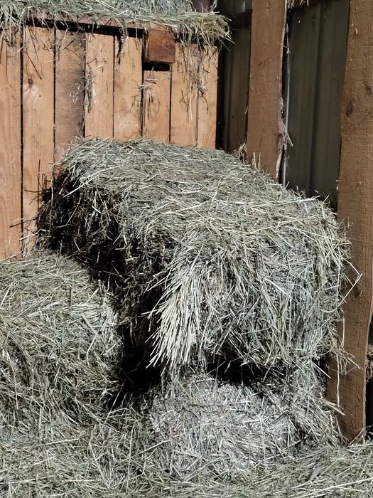 Продам  СЕНО  разнотравье с  ПОЛЯ