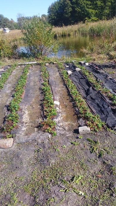 Продаж будинку с. Залізняк, В. Сироватська громада