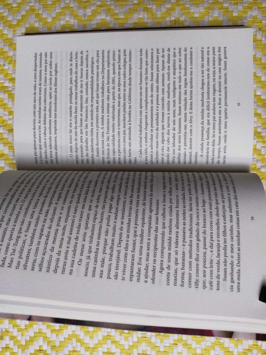 O CADERNO DE MAYA
de Isabel Allende