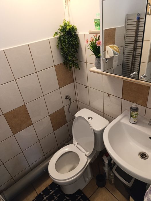 Odstąpię prawa do działki ROD w Bydgoszczy