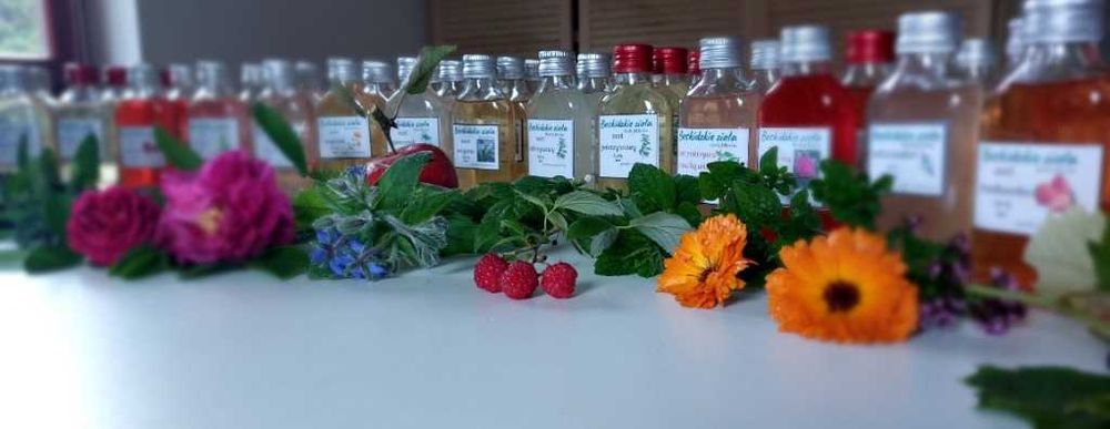 Ocet Dzika róża owoc