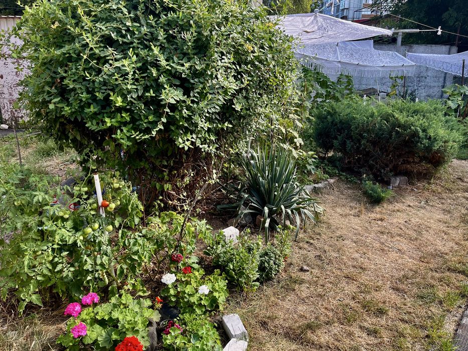 Продам дом- квартиру на землі