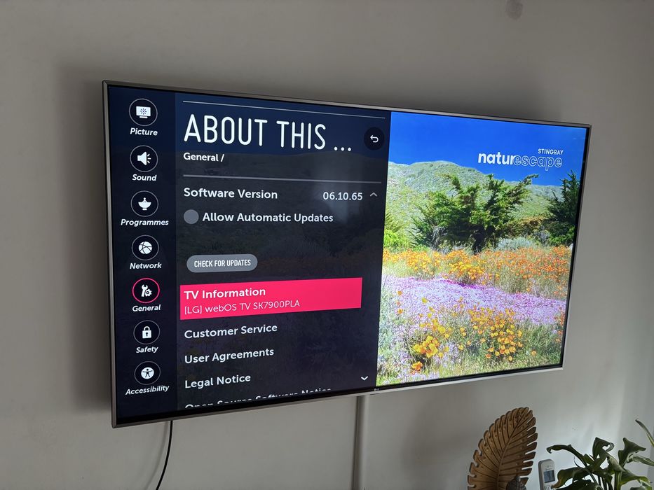 TV LG SK7900 55”