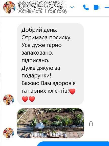 Знижки: Гортензія, бересклет, флокс, лаванда, спірея, кніфофія, чебрец