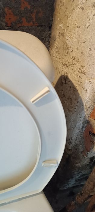 Sanita com tanque, assento e mecanismo de descarga em bom estado