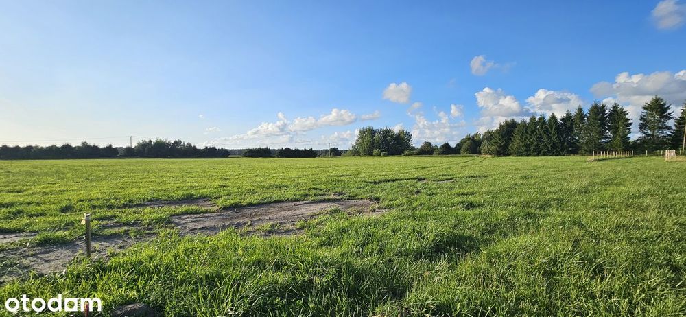 Działka budowlana 5km od Braniewa. - Widok 2