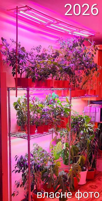 Фітолампа для рослин LED, для орхідей, фіалок, квітів і розсади