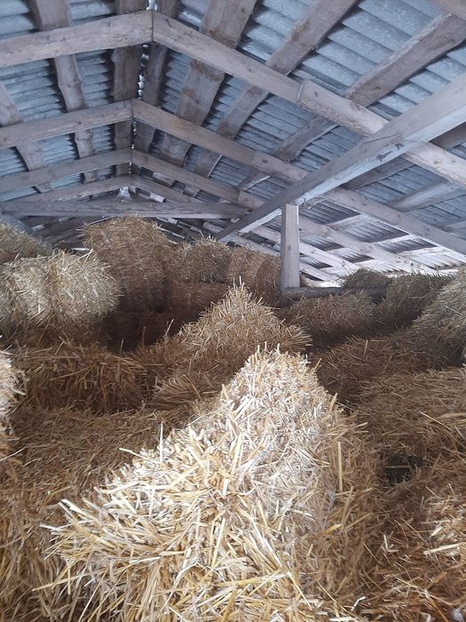 Тюки пшеничної та вівсяної соломи