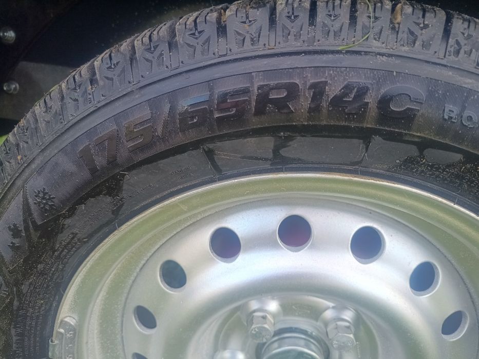 Przyczepa do przewozu koni