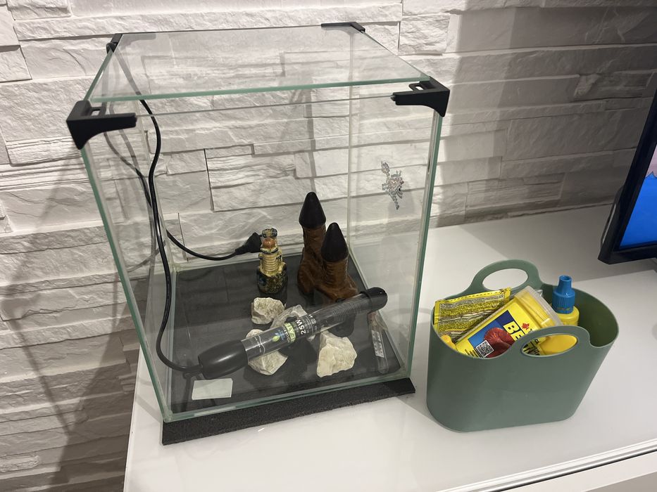 Akwarium dla rybek Bojownika wraz z wyposażeniem