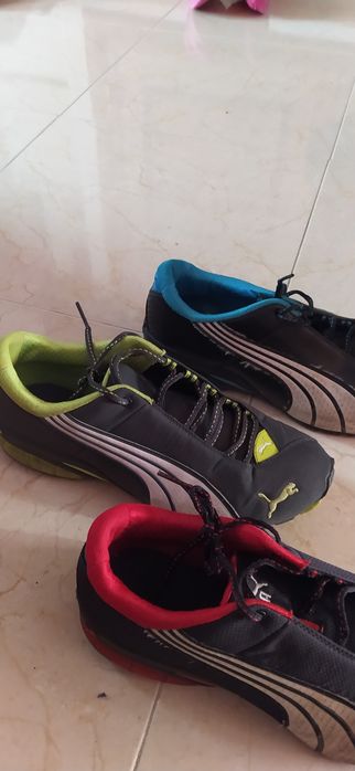 4 pares ténis Puma em excelente estado