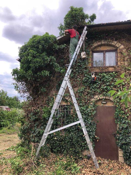 Уборка участков покос корчевка спил вывоз. Ответственно и качественно