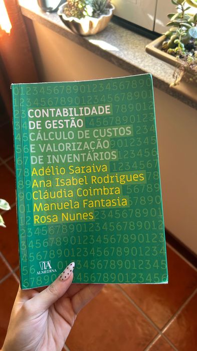 livros de contabilidade de gestão