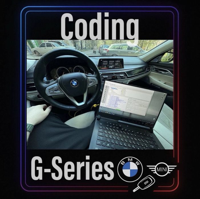 BMW MINI автоелектрик выезд кодировка кодування виїзд (E F G series)