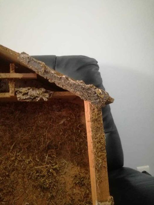 PRESÉPIO . Estabulo onde nasceu Jesus