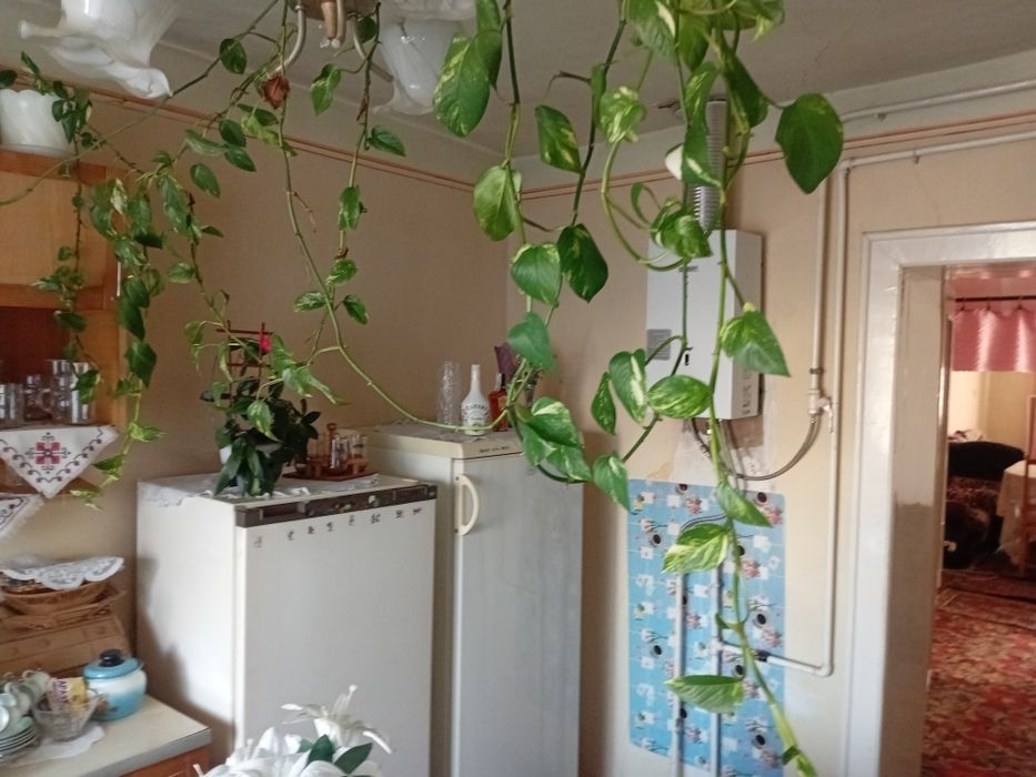 Будинок в тихому районі міста Берегове, зручна локація