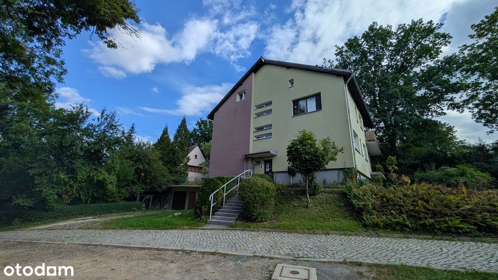 Zdjęcie 8