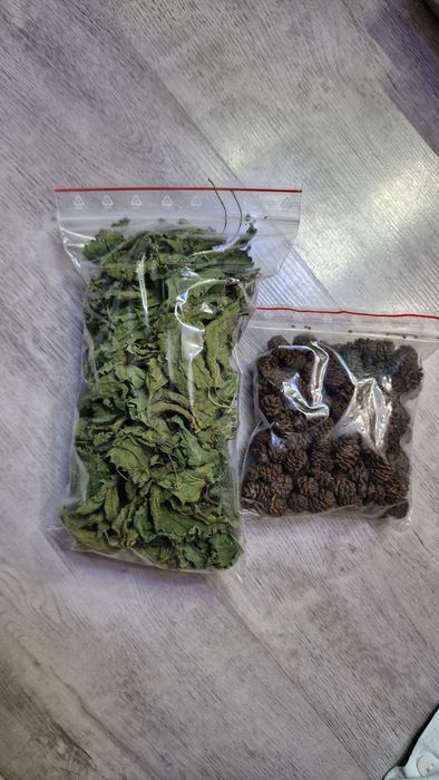 Liście pokrzywy i szyszki olchy czarnej dla krewetek