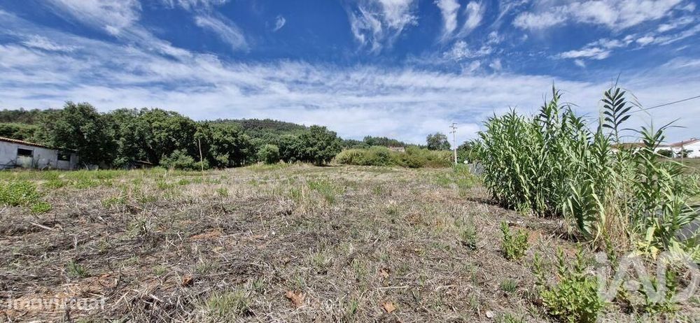 Terreno em Alcobertas de 1600,00 m2