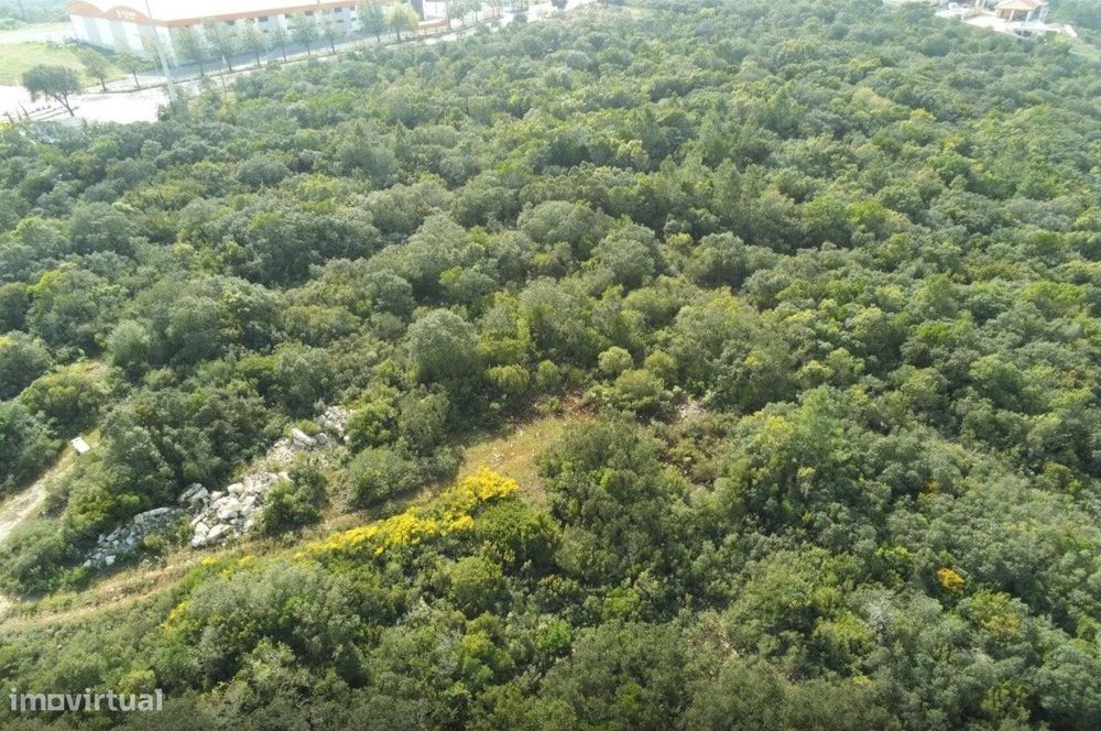 Terreno Rústico na preferia da fantástica Cidade de Fátima