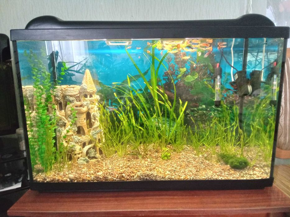 Акваріум 150л. 800х500х350.