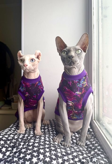 Одяг для сфінксів, одяг для котів, теплий одяг для сфінксів