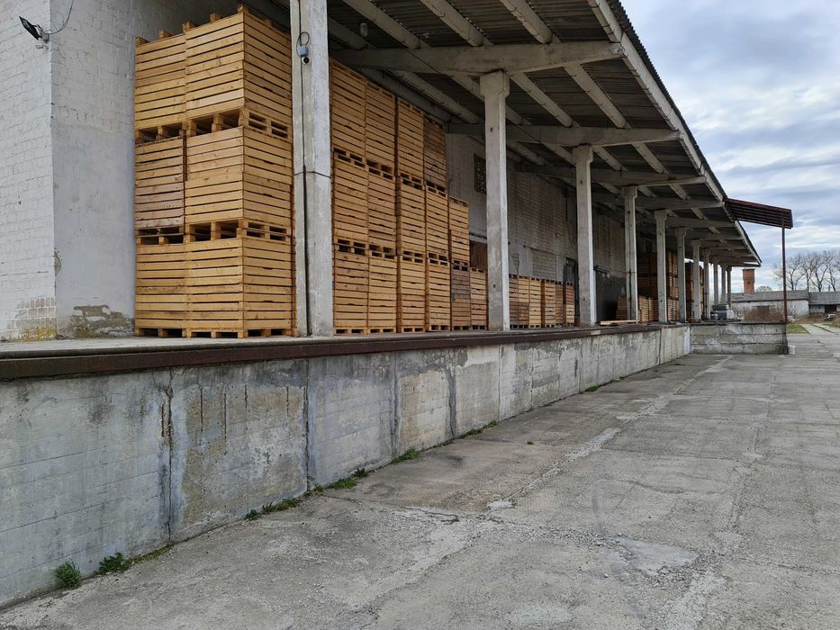 Продам СКЛАД, ХОЛОДИЛЬНІ камери 1600кв.м.