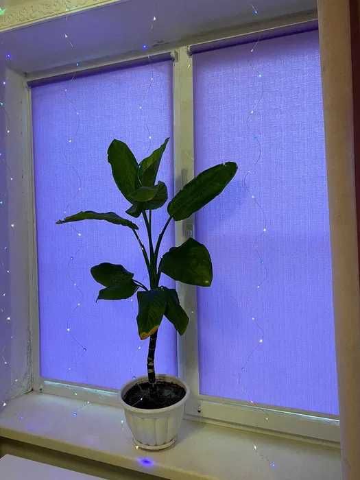 День-Ночь Тканевые Ролеты на ОКНА Вертикальные Горизонтальные Жалюзи