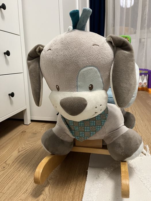 Piesek konik na biegunach