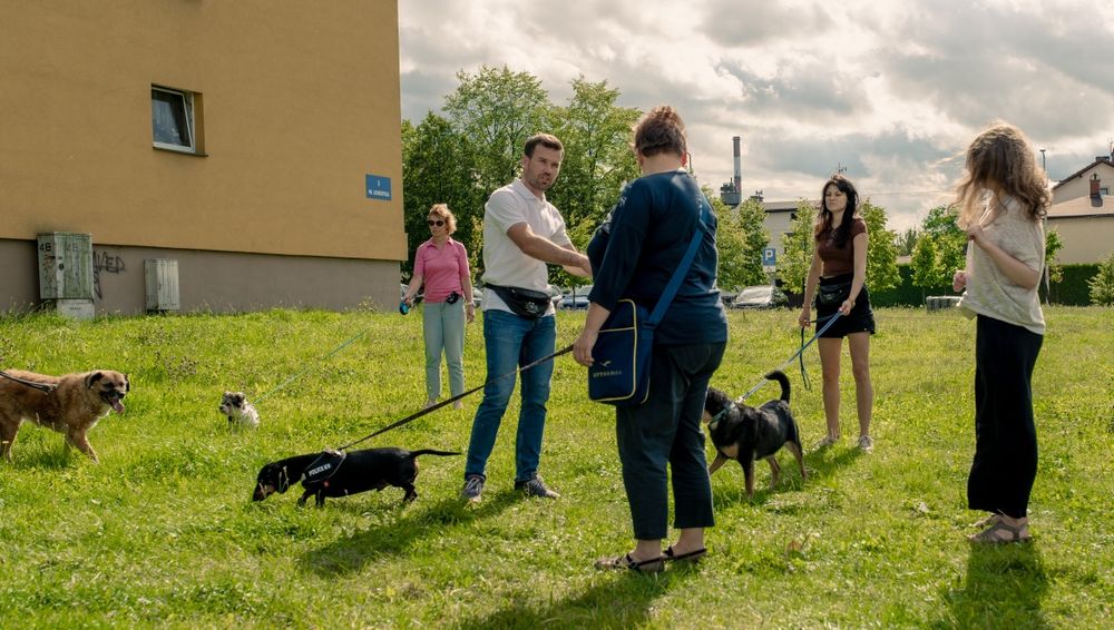 Behawiorysta, zoopsycholog, trener psów, szkolenie.