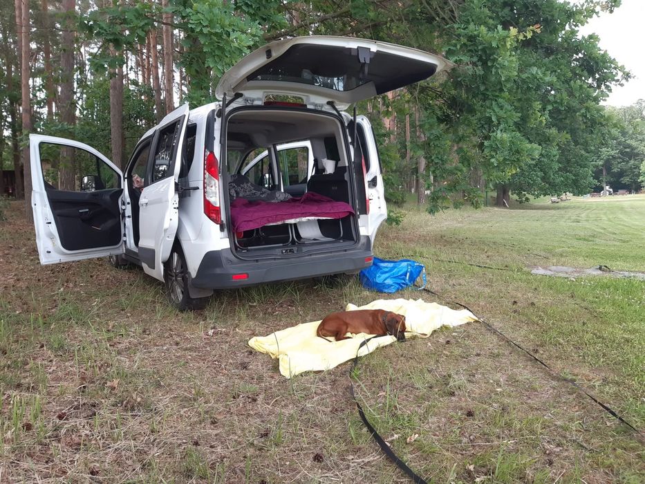 Ford Tourneo Connect