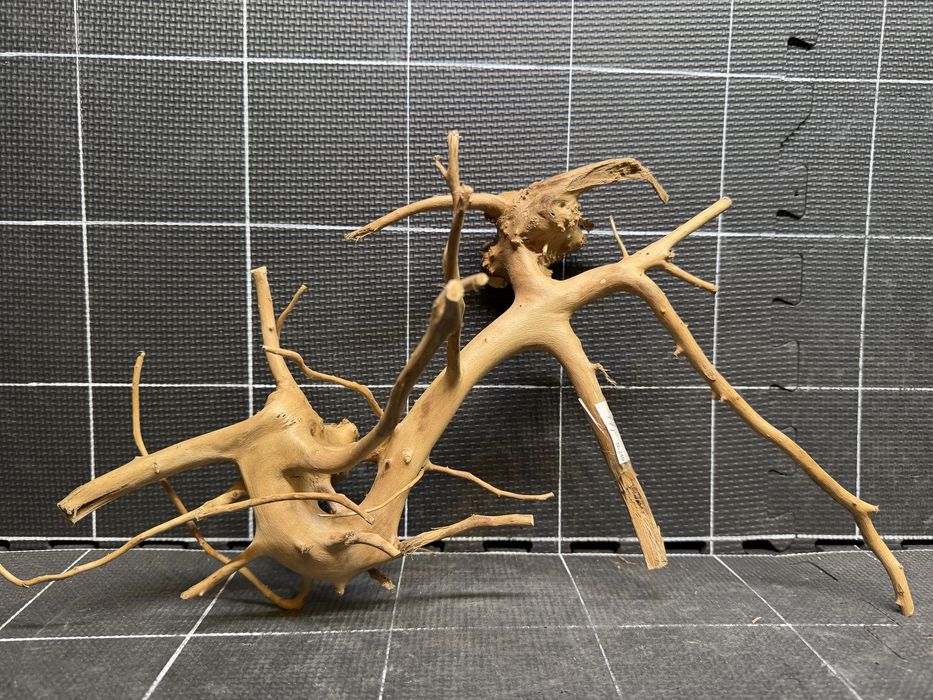 Korzeń red moor wood n-240