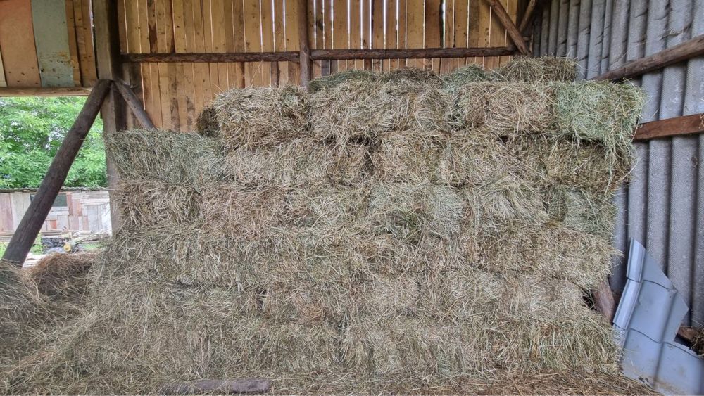 Тюки сіно тюковане