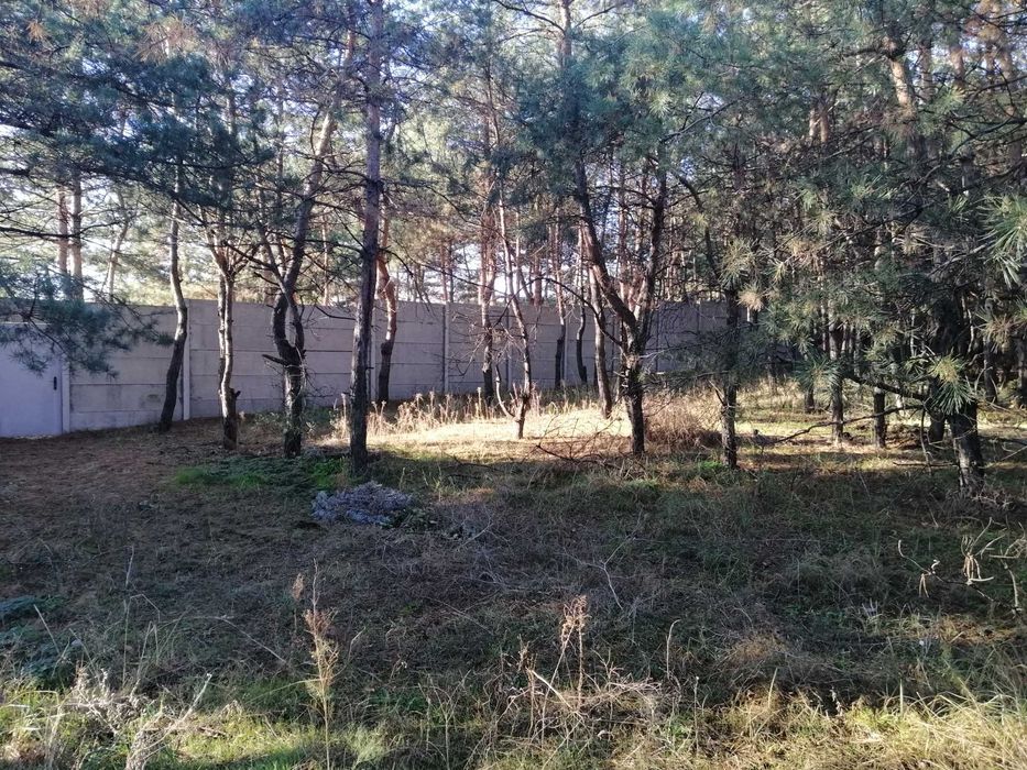 Участок, Леса ,Куриловка  Возле моста .Левый берег.