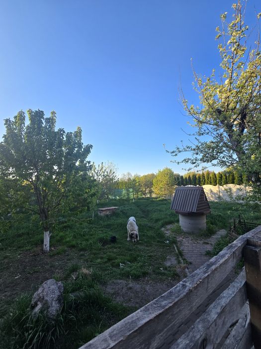 Продаж будинку з сауною і чаном в с.Фурси